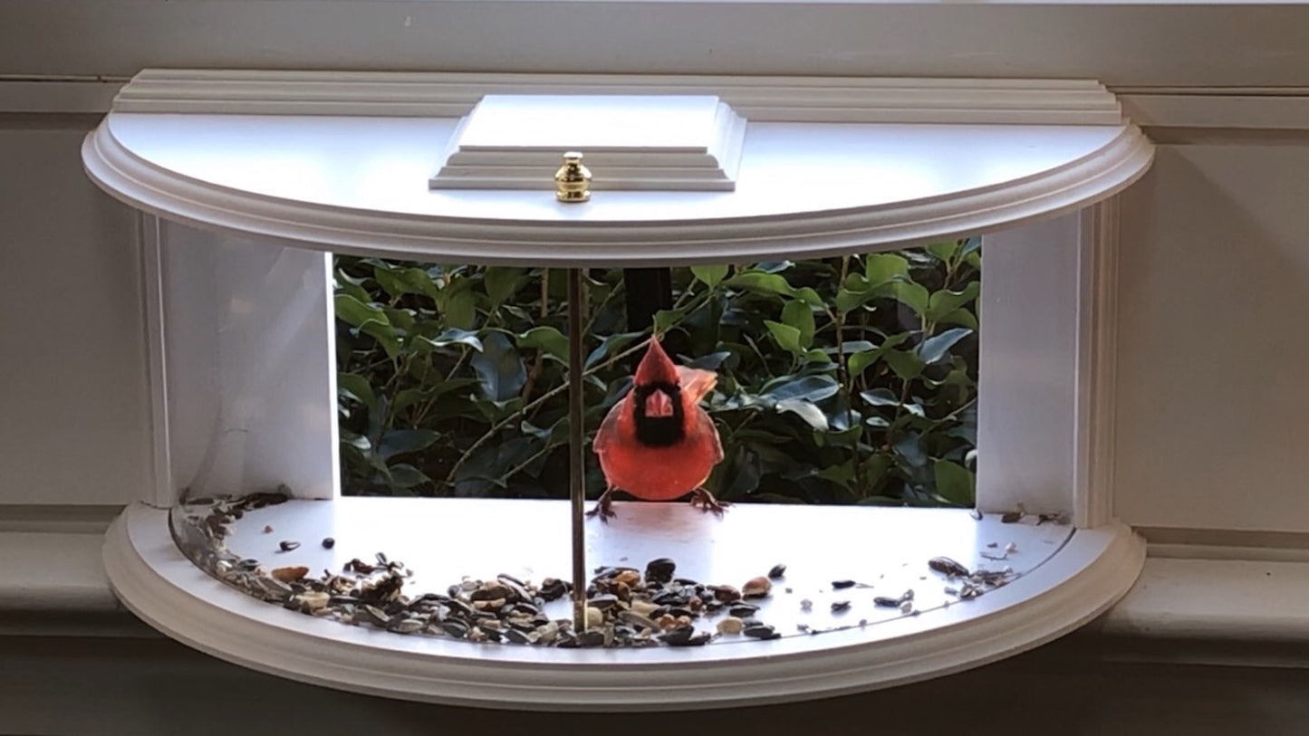 Clearview Feeder in window with red bird sitting inside looking at feed